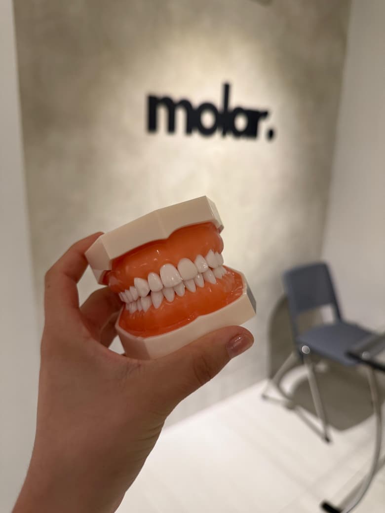 Logotipo de Molar en la pared del consultorio, con un modelo dental en primer plano